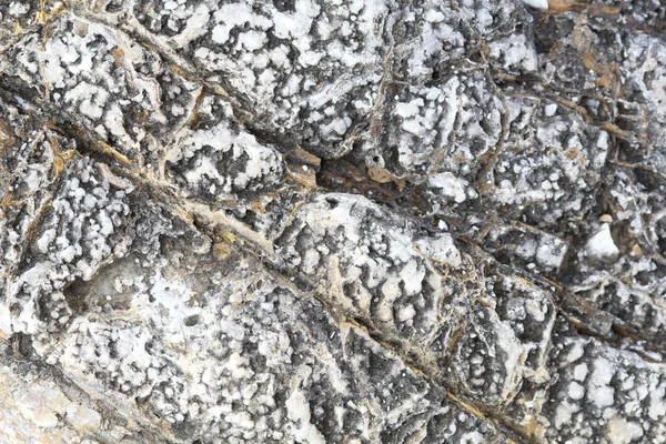 Rocas - texturas y capas de la orilla del mar Egeo — Foto de Stock