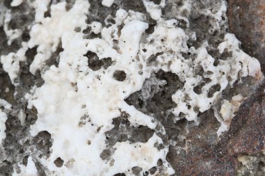 kayalar - doku ve Ege sahil katmanlardan