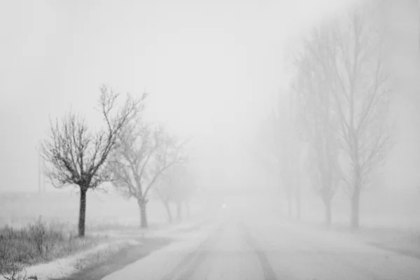 Snöar landskap i parken — Stockfoto