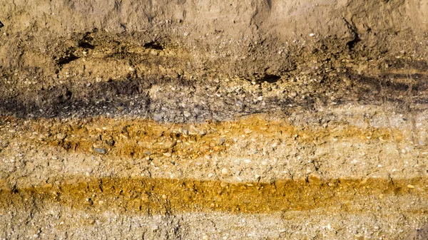 Soil texture and layers — Stock Photo, Image