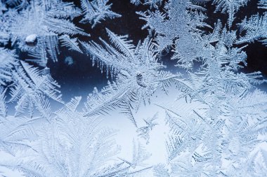 Cam - doku ve arka plan buz çiçekleri