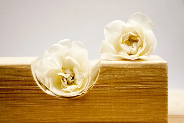 Деревянные геометрические фигуры с белыми розами и светло-серым фоном — стоковое фото