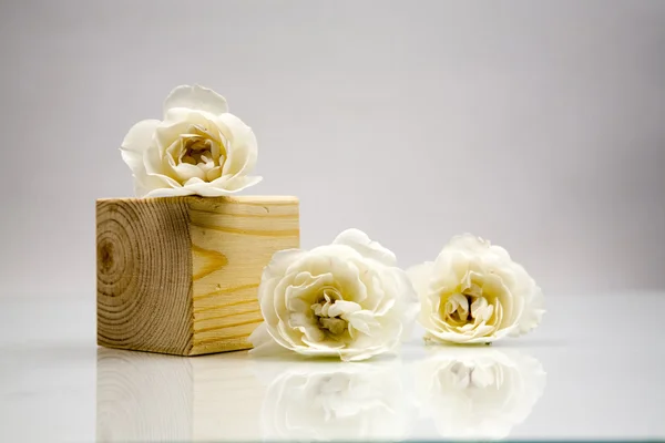 Wooden geometrical pieces with white roses and light grey background — Stock Photo, Image