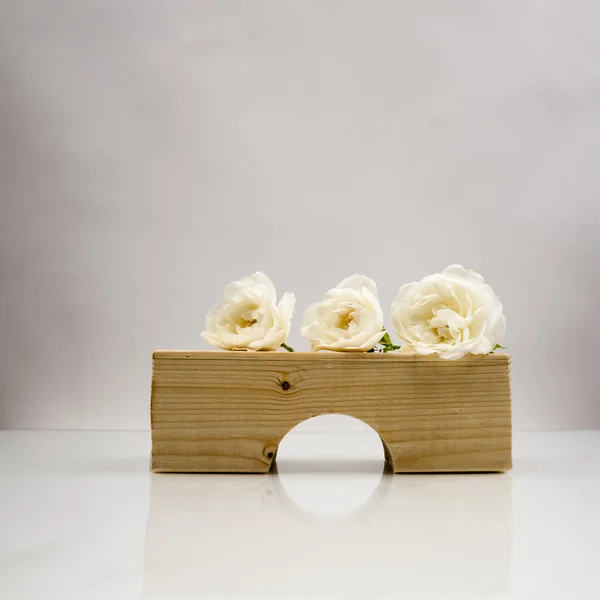 Geometriska träbitar med vita rosor och ljus grå bakgrund — Stockfoto
