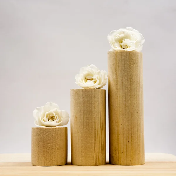 Wooden geometrical pieces with white roses and light grey background — Stock Photo, Image