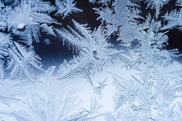 Ice flowers on glass - texture and background