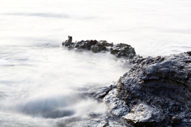 Bir koltuk uykulu, güzel kedi, siyah ve beyaz fotoğraf