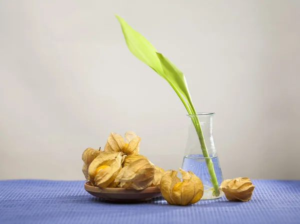Physalis Peruana frutas en una bsket y bambú pequeña planta en un jarrón transparente sobre un mantel azul —  Fotos de Stock