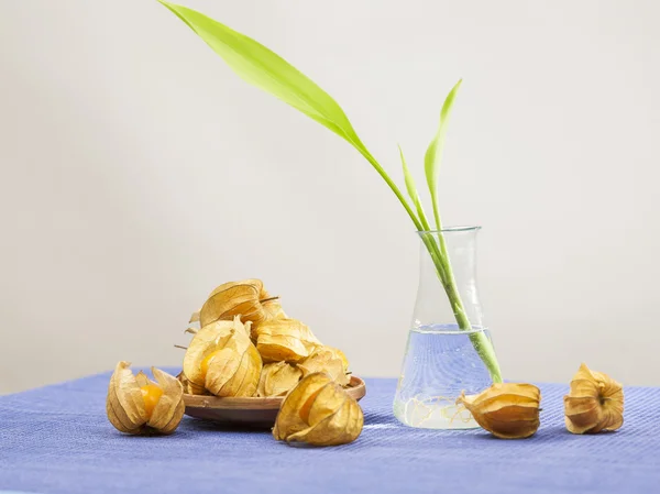 Physalis Peruana frutas en una bsket y bambú pequeña planta en un jarrón transparente sobre un mantel azul —  Fotos de Stock
