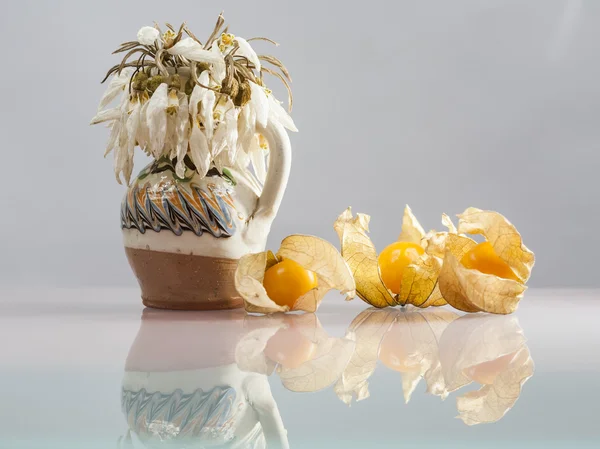 Physalis Peruviana fruits in a basket and dried snowdrops in a ceramic pot on a blue table cloth — Stock Photo, Image