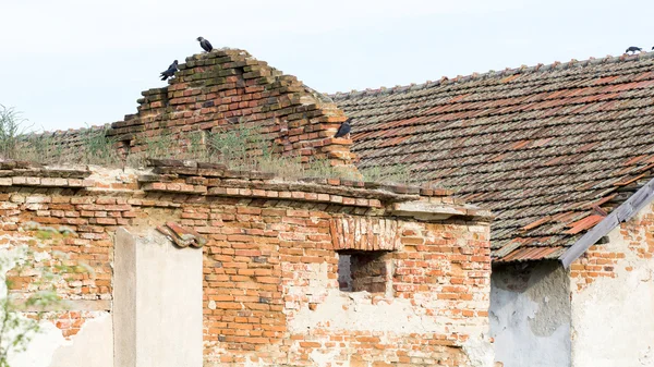 Alte Wandstruktur mit geschältem Mörtel und Rissen — Stockfoto