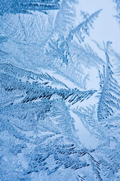 Flores de hielo sobre vidrio - textura —  Fotos de Stock