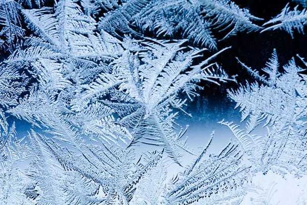 Flores de hielo sobre vidrio - textura — Foto de Stock