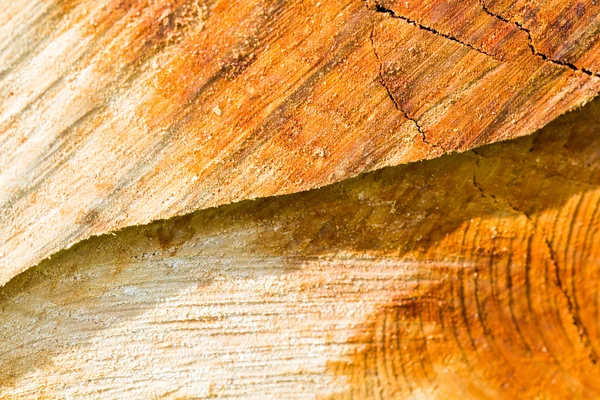 Kawałek z pęknięć z pnia drzewa niedawno posiekane - tekstury do drewna — Zdjęcie stockowe