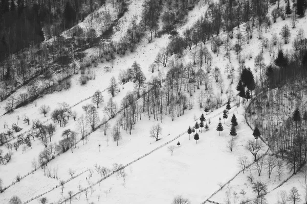 Winter mountain landscape with villages. Black and white photography — Stock Photo, Image