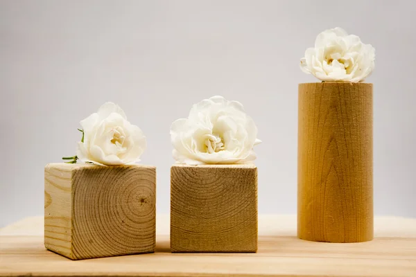 Wooden geometrical pieces with white roses and light grey background — Stock Photo, Image