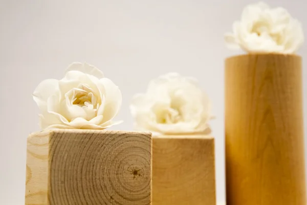 Wooden geometrical pieces with white roses and light grey background — Stock Photo, Image