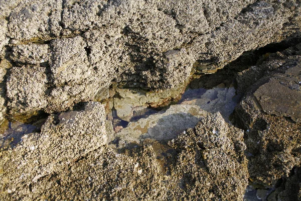 Egejské pobřeží v Řecku, ostrov Thassos - vlny a skály — Stock fotografie