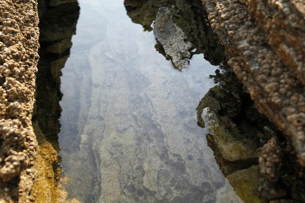 Côte égéenne en Grèce, île de Thassos - vagues et rochers — Photo