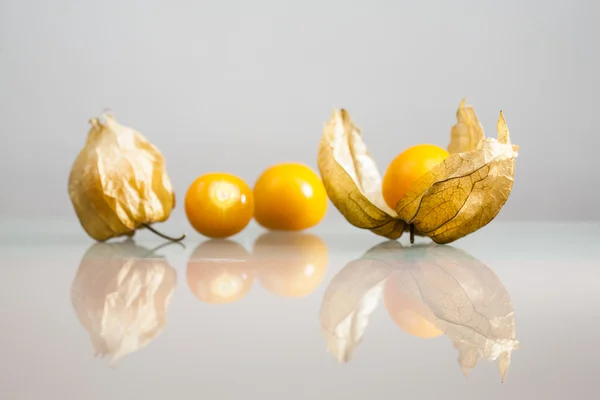 Closeup of Physalis peruviana fruits with light grey background and reflexions — Stock Photo, Image