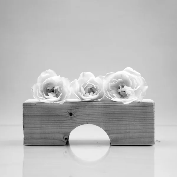 Black and white, still life composition with wooden geometrical pieces with white roses and light grey background — Stock Photo, Image