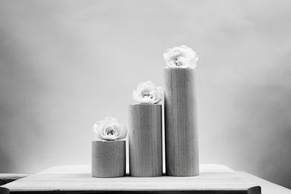 Black and white, still life composition with wooden geometrical pieces with white roses and light grey background — Stock Photo, Image