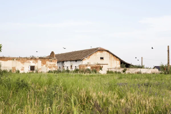 Старый заброшенный склад в поле — стоковое фото