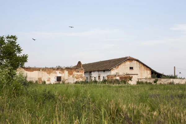 Old, abandoned, ruined warehouse in the field — Stock Photo, Image