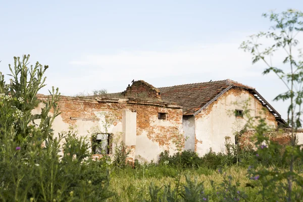 Armazém velho, abandonado e arruinado no campo — Fotografia de Stock