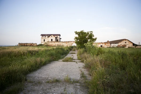 Old, abandoned, ruined house in the field — Stock Photo, Image