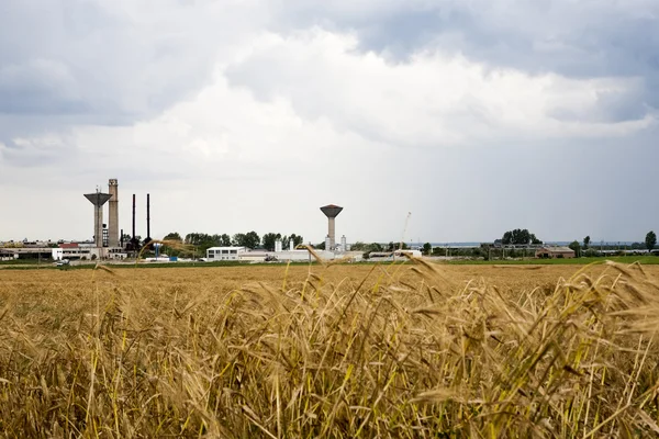 Industrial landscape with wheat field and dramatic clouds — Stock Photo, Image