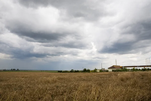 Industrial landscape with wheat field and dramatic clouds — Stock Photo, Image