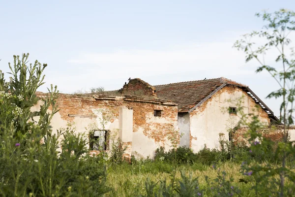 Old, abandoned, ruined warehouse in the field Stock Image