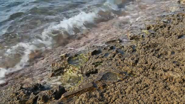 Zeewater en rotsen in Thassos eiland, Griekenland, naast het natuurlijke zwembad genaamd Giola. Geluid van golven en wind — Stockvideo