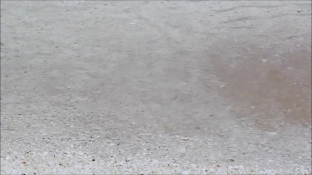 Paisaje griego Isla de Tasos, Playa de mármol, Mar Egeo. Cintura transparente y arena de mármol — Vídeo de stock