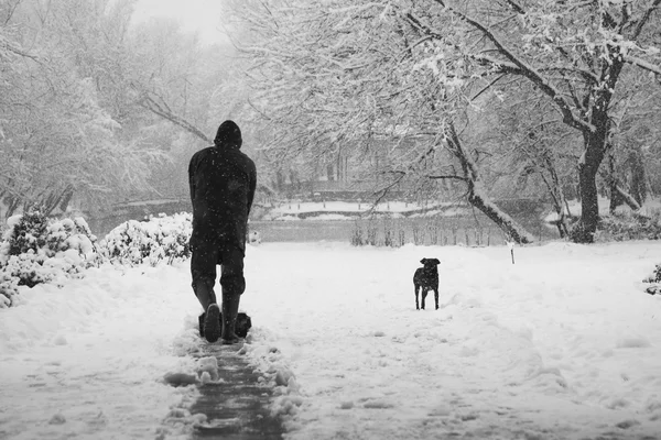 Paisagem de inverno no parque — Fotografia de Stock