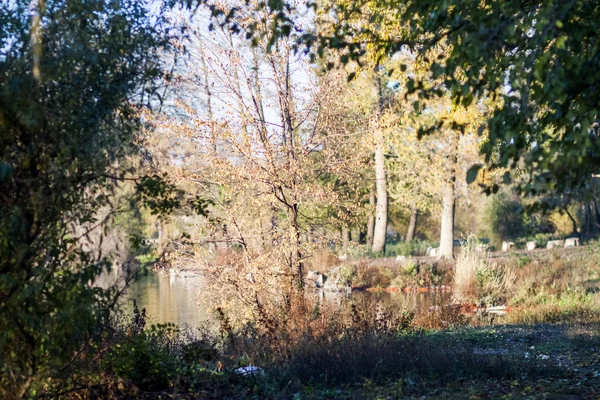 Herfst landschap met najaar bladeren en humeurig licht — Stockfoto