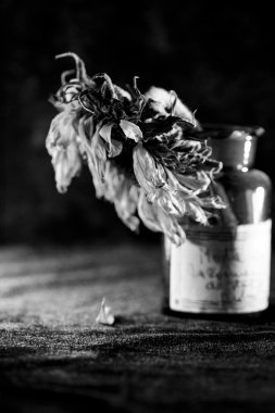 Kurutulmuş ayçiçeği ve koyu arka plan ile natürmort kompozisyon