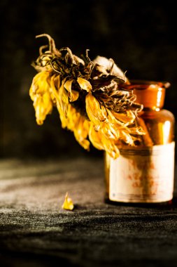 Kurutulmuş ayçiçeği ve koyu arka plan ile natürmort kompozisyon