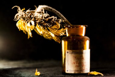 Kurutulmuş ayçiçeği ve koyu arka plan ile natürmort kompozisyon