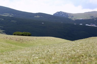 Romanya 'daki Güney Karpatlar' ın bir parçası olan Bucegi Dağları 'ndan manzara