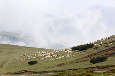 Romanya 'daki Güney Karpatlar' ın bir parçası olan Bucegi Dağları 'ndan manzara