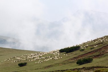 Romanya 'daki Güney Karpatlar' ın bir parçası olan Bucegi Dağları 'ndan manzara