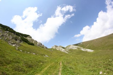 Romanya 'daki Güney Karpatlar' ın bir parçası olan Bucegi Dağları 'ndan manzara