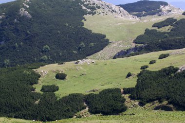 Romanya 'daki Güney Karpatlar' ın bir parçası olan Bucegi Dağları 'ndan manzara