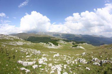 Romanya 'daki Güney Karpatlar' ın bir parçası olan Bucegi Dağları 'ndan manzara