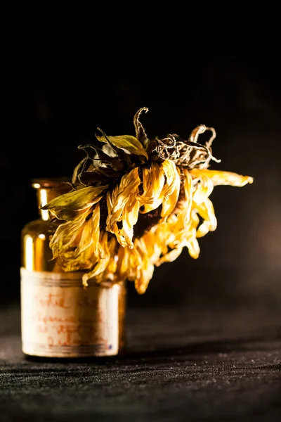 Kurutulmuş ayçiçeği ve koyu arka plan ile natürmort kompozisyon