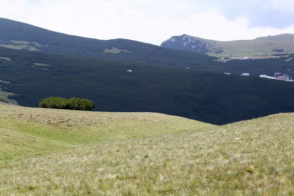 Romanya 'daki Güney Karpatlar' ın bir parçası olan Bucegi Dağları 'ndan manzara