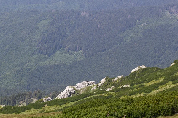 Landschaft aus dem Bucegi-Gebirge, einem Teil der Südkarpaten in Rumänien — Stockfoto