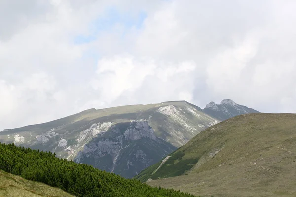 Krajina z pohoří Bucegi, část jižních Karpat v Rumunsku — Stock fotografie